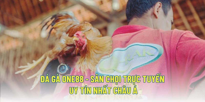 Đá Gà ONE88 - Sân chọi trực tuyến uy tín nhất Châu Á 1 Đá Gà ONE88